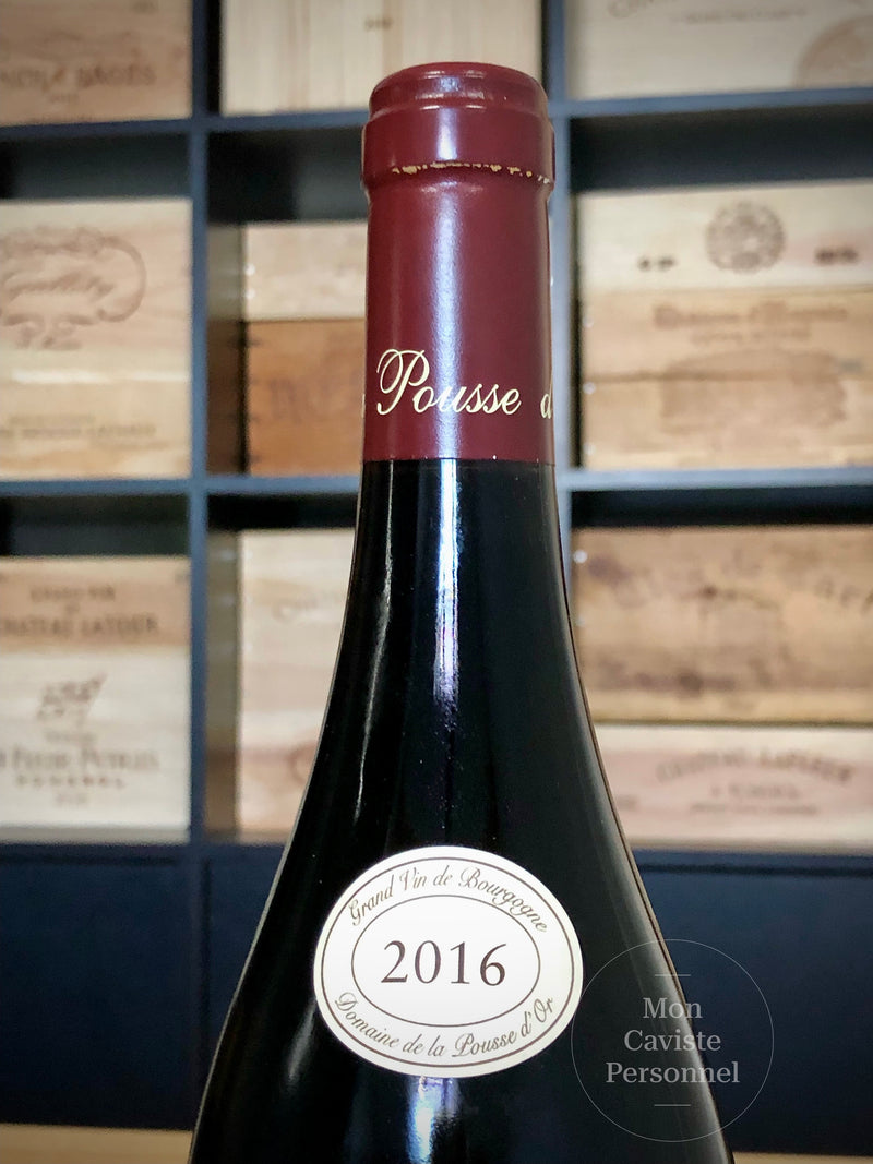 Domaine de la Pousse d'Or  |  Volnay  |  Premier Cru  |  "CLOS DE LA BOUSSE D'OR" Amphore en Monopole  |  2016  |  Bouteille