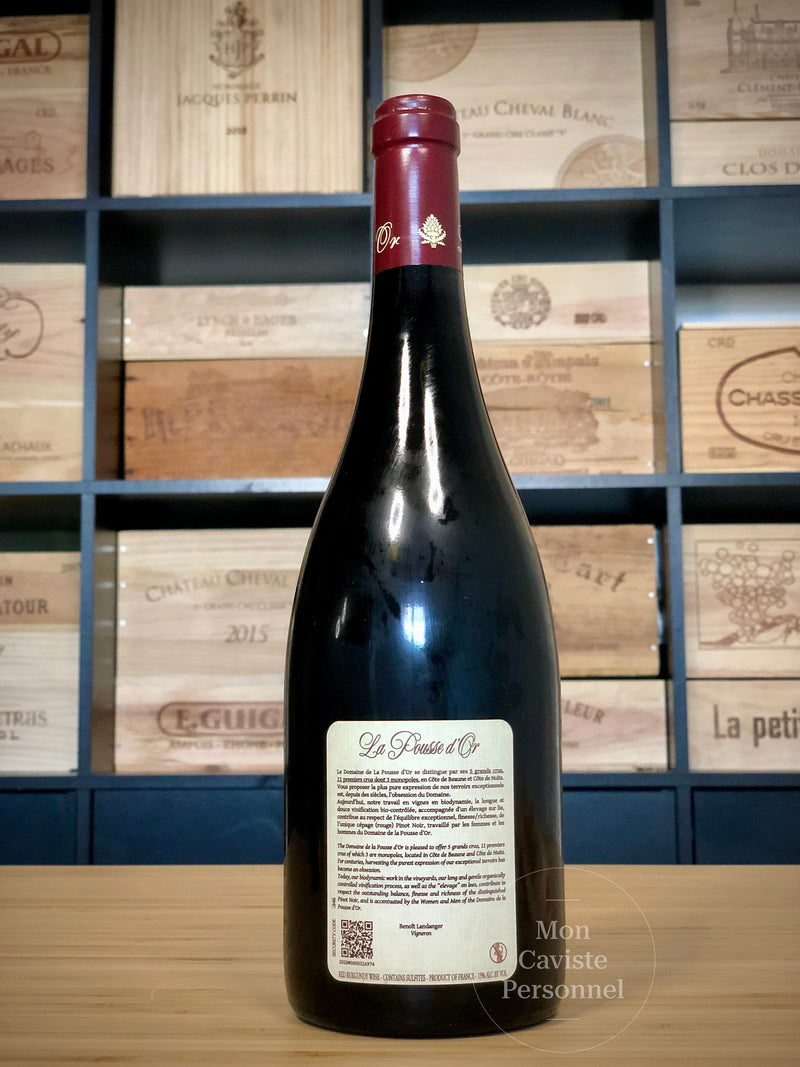 Domaine de la Pousse d'Or  |  Volnay  |  Premier Cru  |  "CLOS DE LA BOUSSE D'OR" Amphore en Monopole  |  2016  |  Bouteille